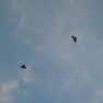 IMG_1909