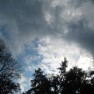 IMG_6967