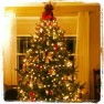 Christmas treet