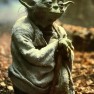 Yoda
