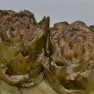 artichokes