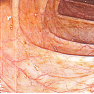 shapeimage_2
